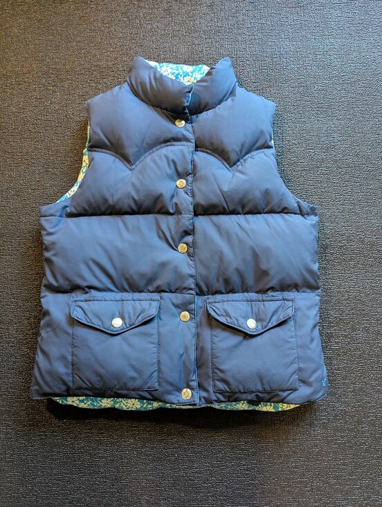 American Eagle Outfitters Jackets & Blazers - Reversible Vest